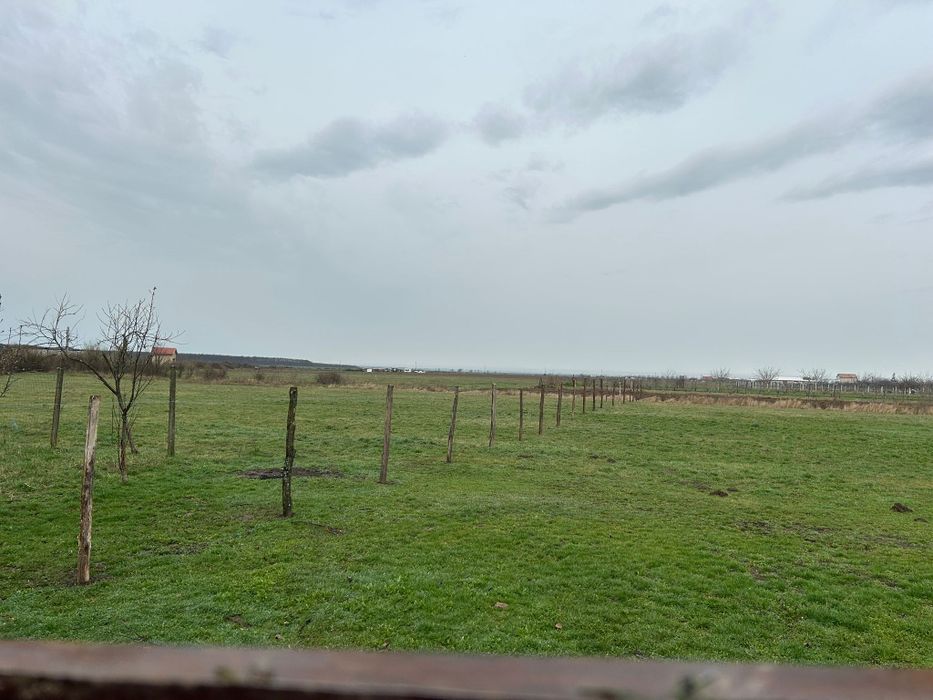 Teren Leș la drumul principal