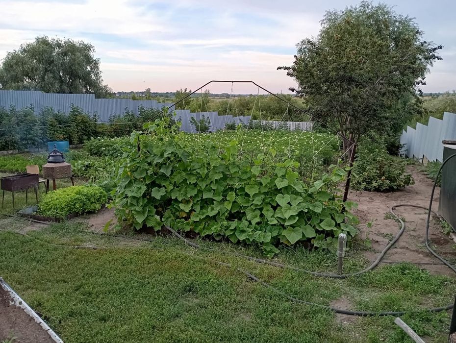 Участок, времянке, гараж, бокс, дача