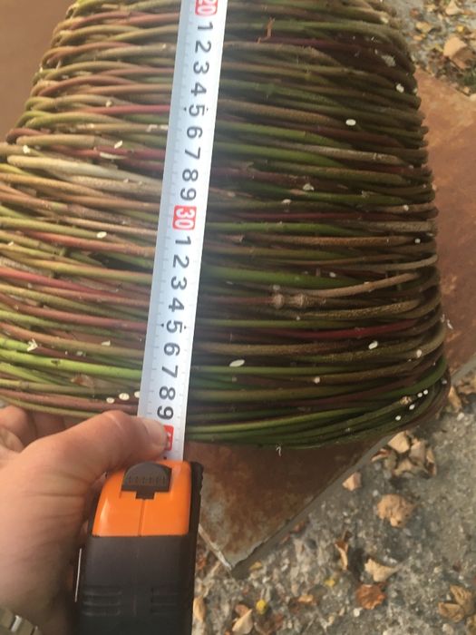 Тръвни кошери кошер