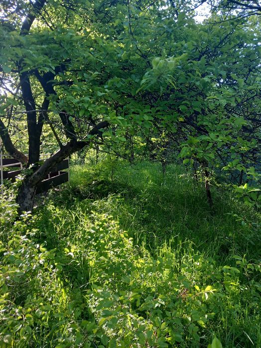 Продава се Къща в с. Люлин, Област Перник - 40 кв.м за 1500 €/кв.м - Снимка #9