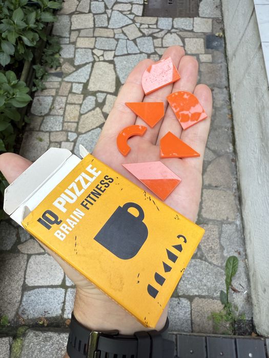 IQ Puzzle - Brain Fitness