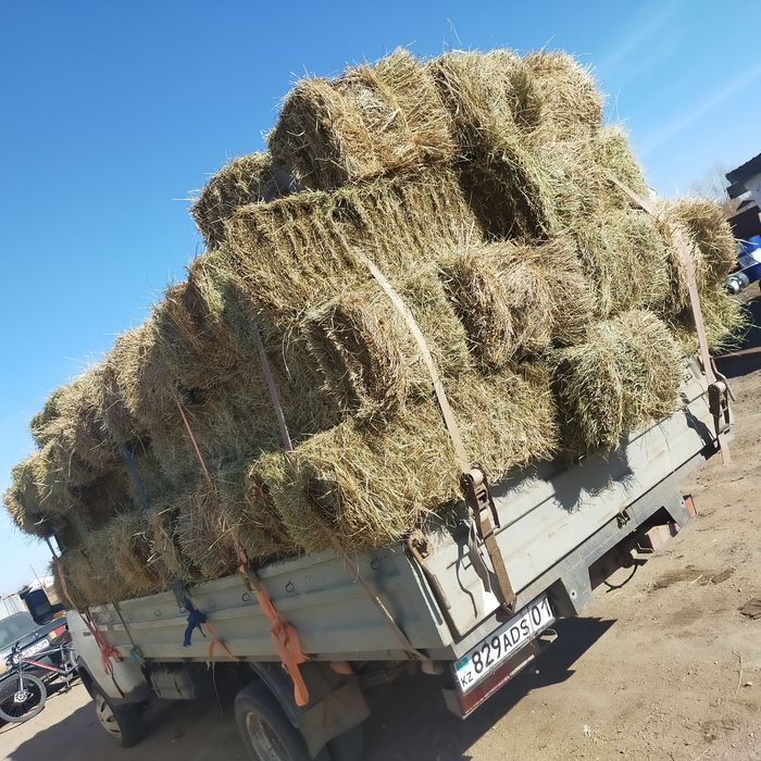 Продается сена в тюках