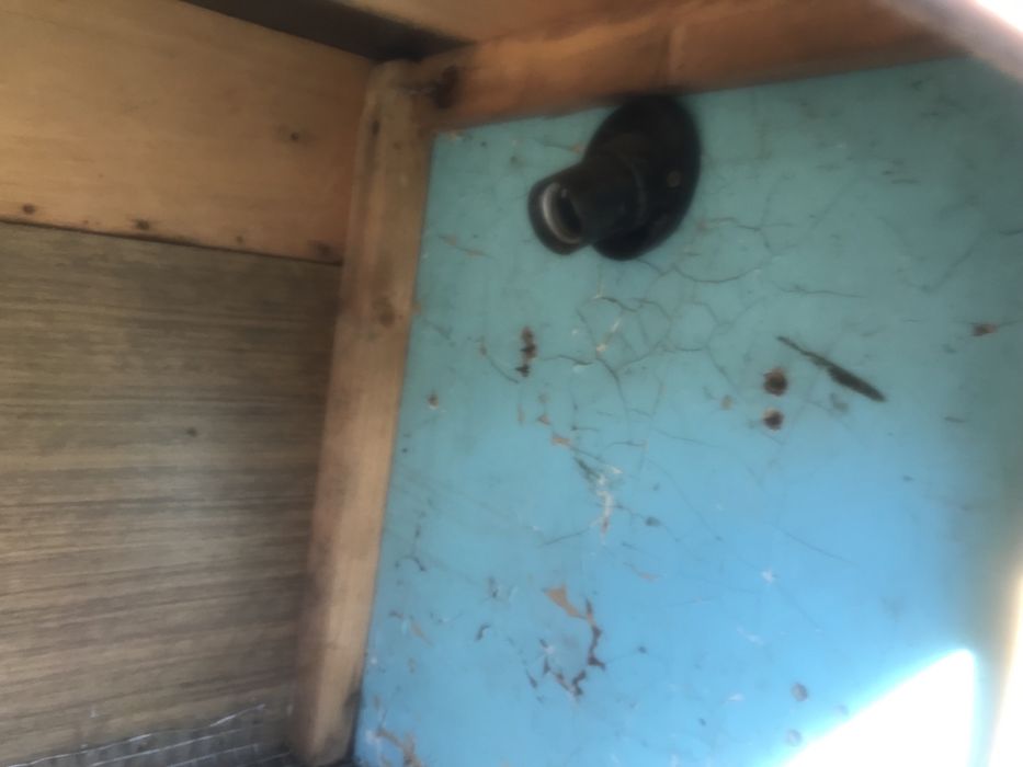 Брудер для цыплят