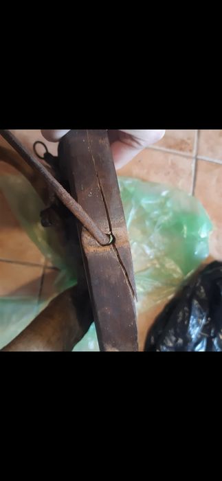 Trofeu vanatoare țap  pe panoplie cu decor