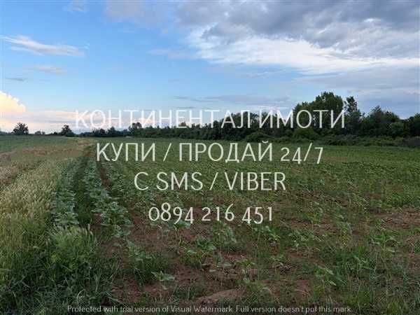 Код 70097. Земеделска земя - оризище 11500м2, кат. 5, сега ползвана като нива на около 500м от АМ Тракия