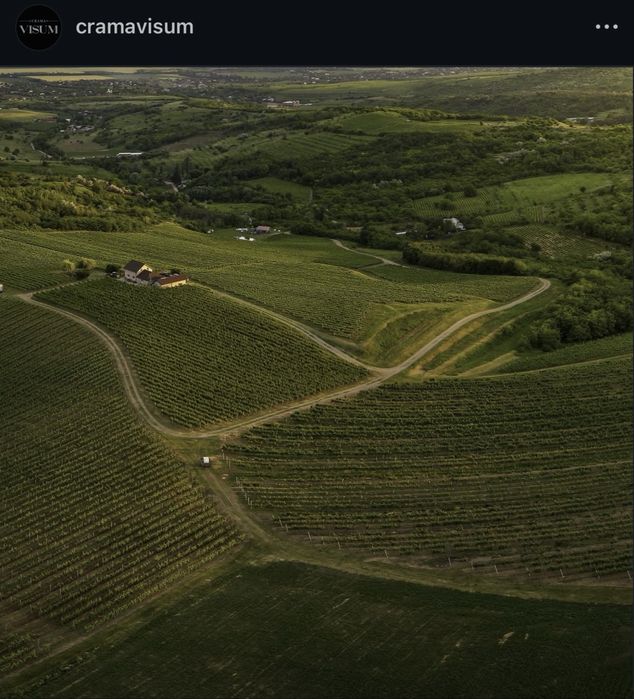 11,6 hectare de teren extravilan+intravilan, Urlati/Valea Calugareasca-Zona: releu/Valea Mieilor