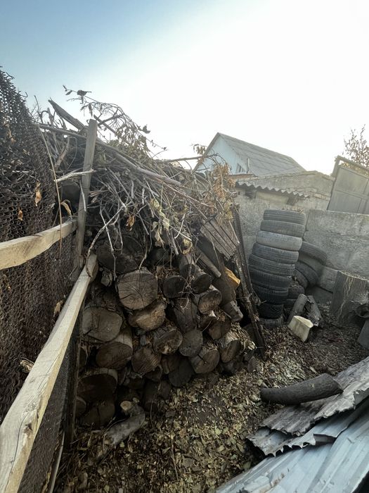 Отынға ағаш сатылады