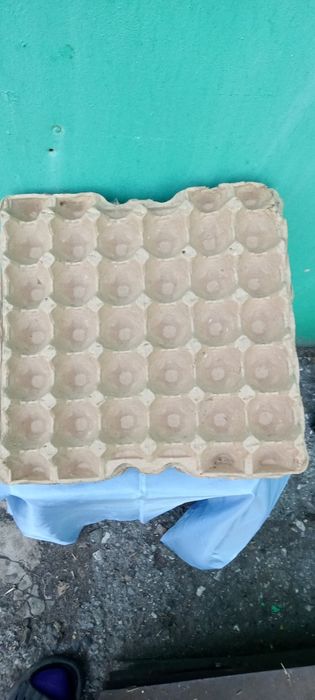 Лотки /каретки для яиц