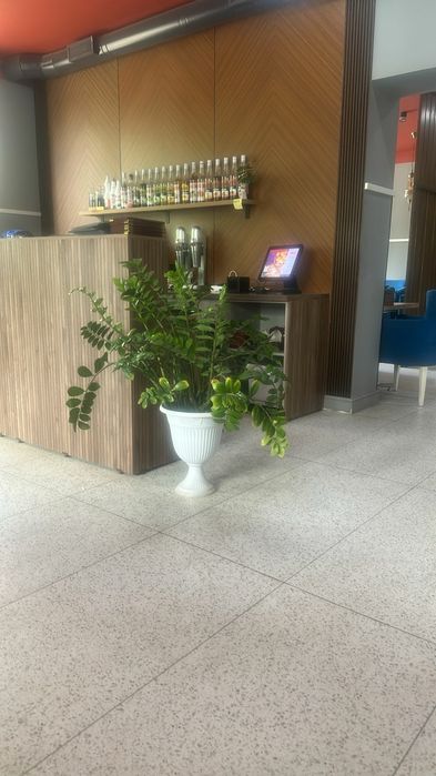 Продам кафе действующее