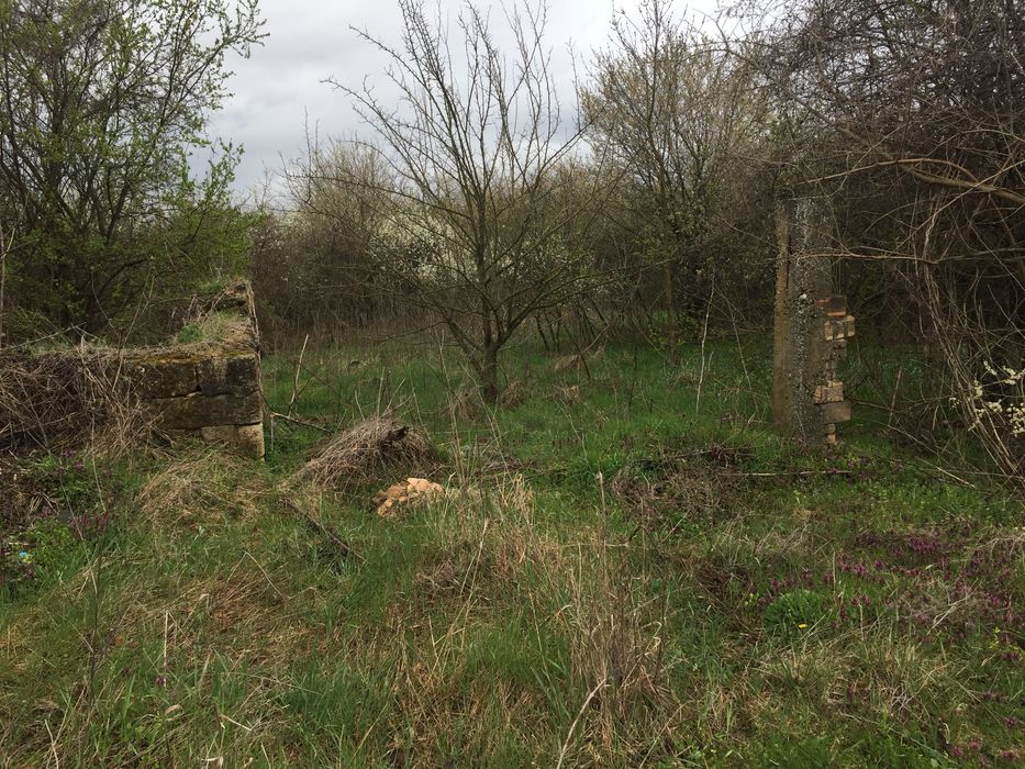 Продава се Парцел в с. Беджене, Област Шумен - 800 кв.м за 4 €/кв.м - Снимка #2