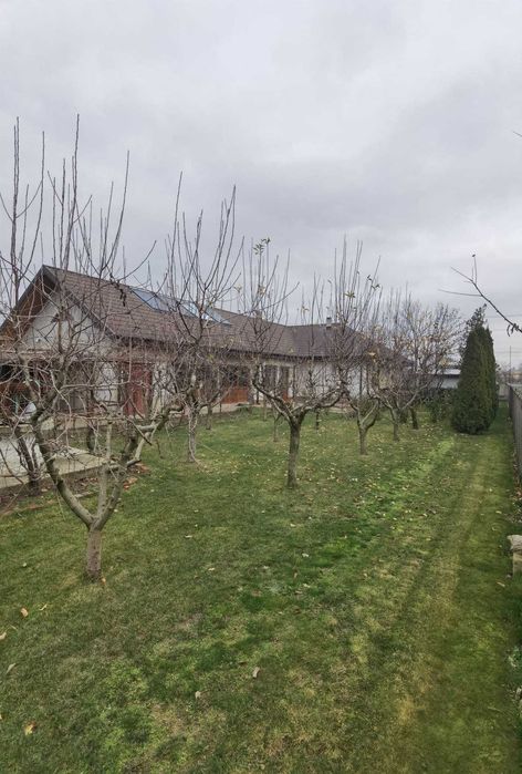 Casă din cărămidă 144 mp, garaj, anexe, solar, 2100 mp – Fălciu