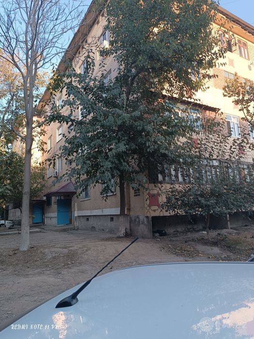 Bir xonali uy baland va kotta