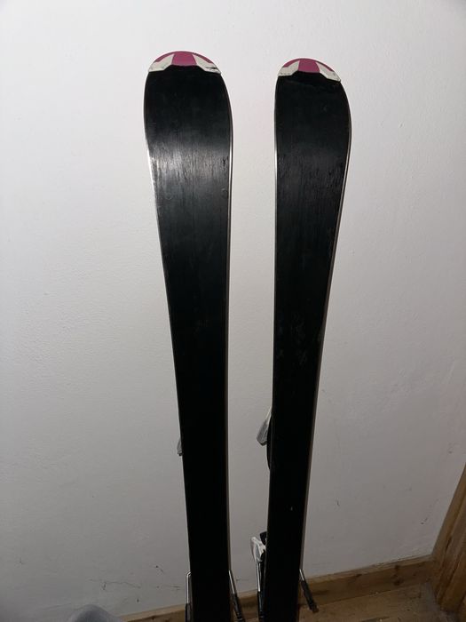 Schiuri cu legaturi, clapari si bete Tecno Pro