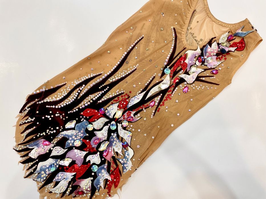 Художественная гимнастика. Б/У