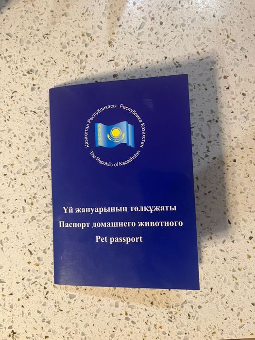 Щенки алабая в Алматы