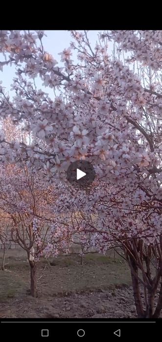 Участка сотилади