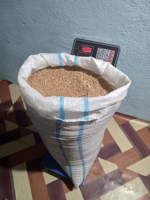 Grâu de vânzare 2025