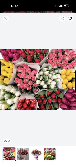 Тюлпаны цветы букеты на 8 март