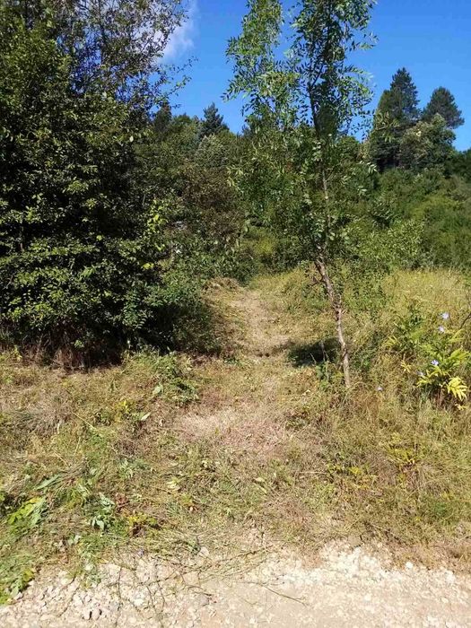 Продава се Парцел в с. Панчарево, Област София-град - 2000 кв.м за 175 €/кв.м - Снимка #5