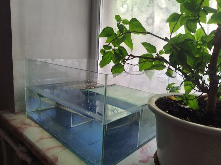 Терариум для земноводных