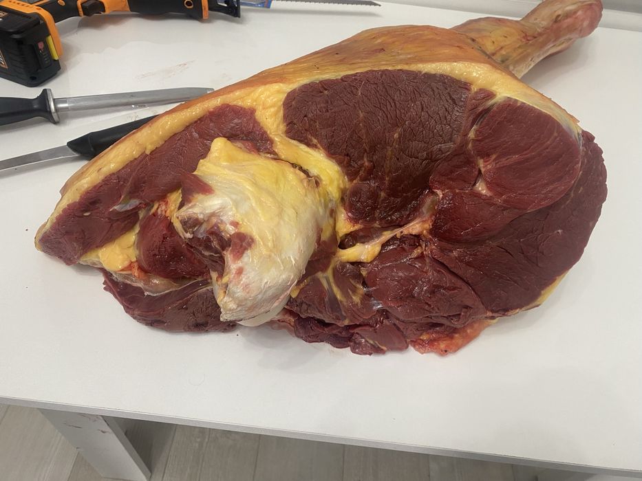 Мясо конины Кокшетауское