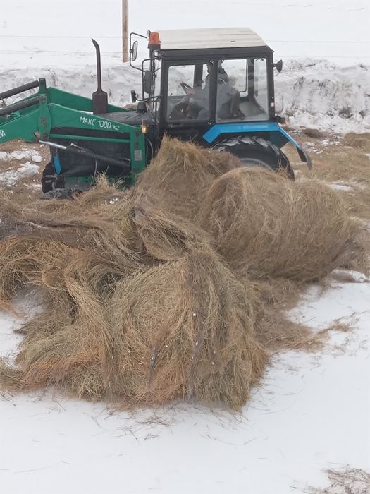 Продам рулоны сено 2025 первый укос