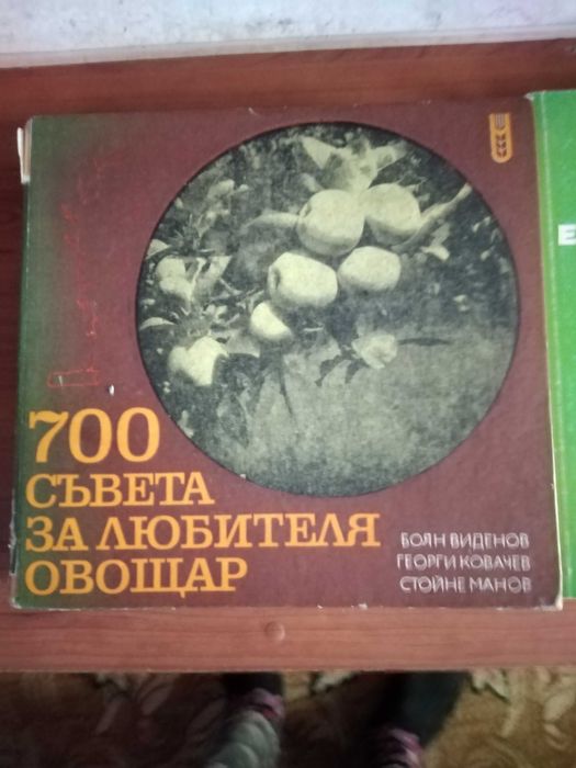 антики,  запазени