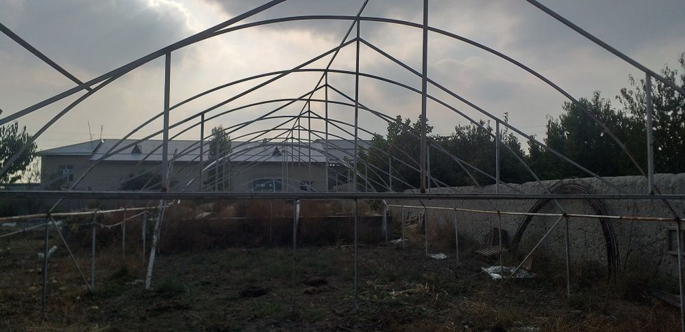 Иссикхона дугалари