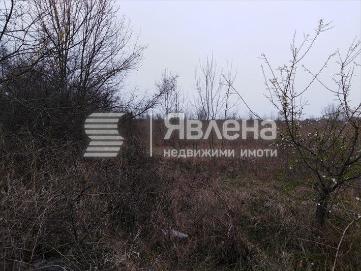 Продава се Земеделски имот в Царево -  кв.м за 31 €/дка - Снимка #2