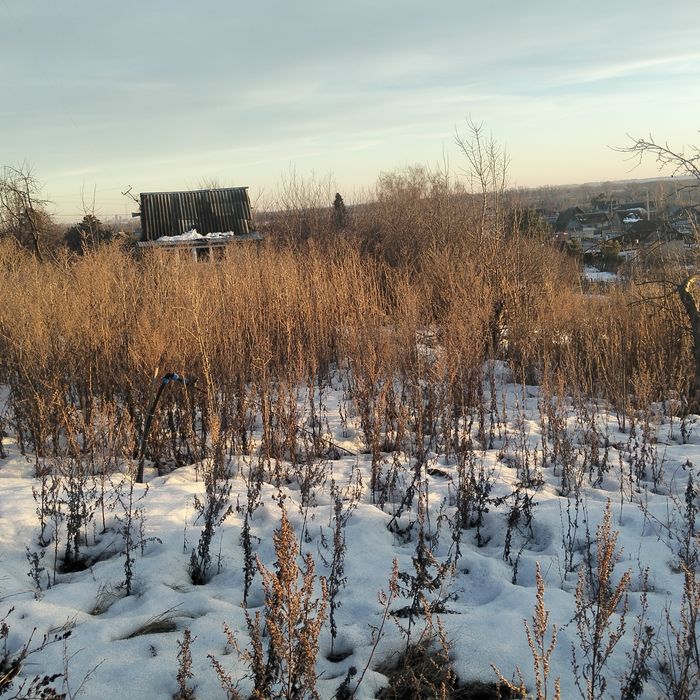 Продам дачу новопаловка