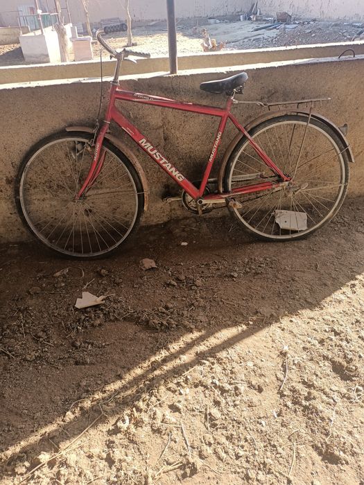 Великий мустанг sports