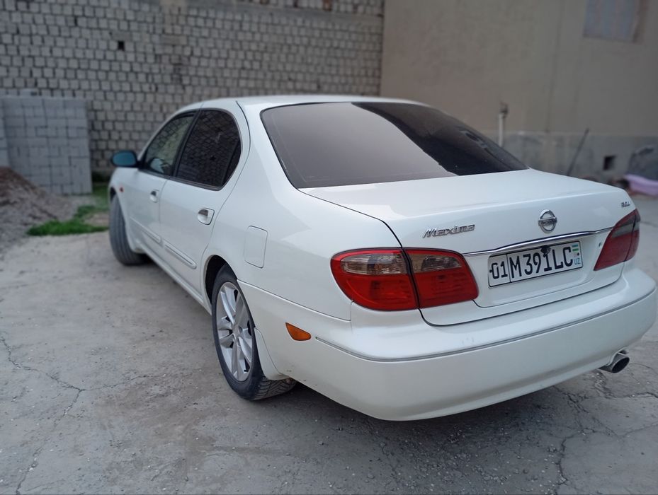 Nissan maxima sptiladi