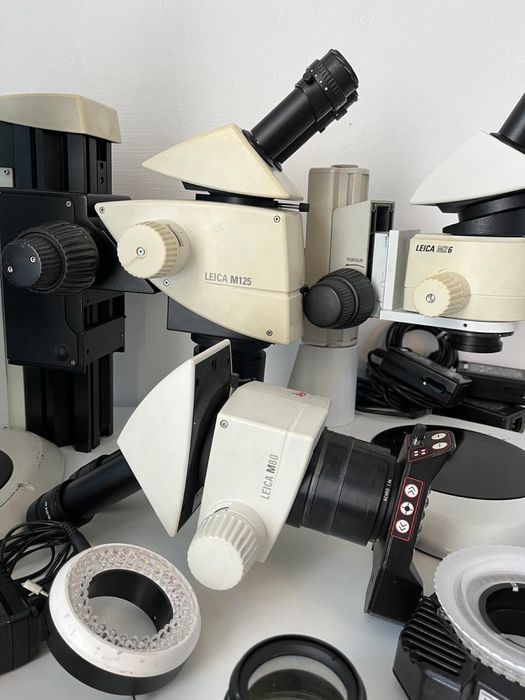 Microscop leica Mz6, M80, M125, sistem iluminare