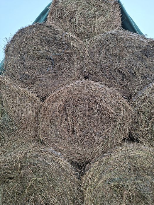 Baloți de lucernă uscată,înfoliată,de fân și baloți de paie de vânzare
