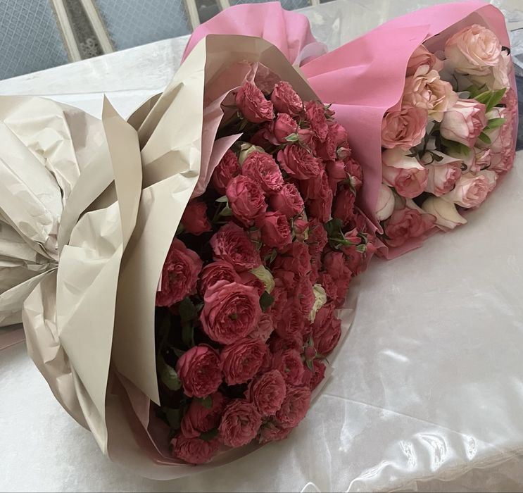 красивые цветы