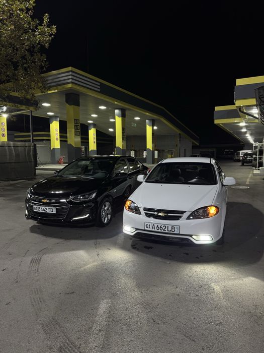 Жентра идеал состаяние