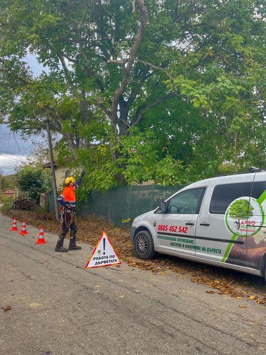 Премахване на опасни дървета, оформяне, рязане, кастрене Tree Service