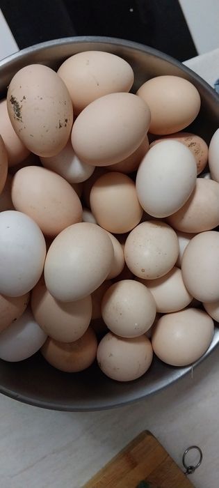 Oua proaspete de vanzare