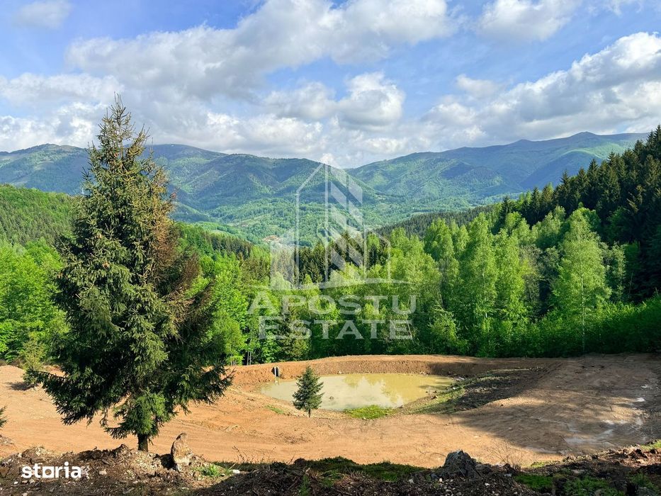 Oportunitate! Domeniu montan, cu lac propriu, oras Lupeni, Hunedoara