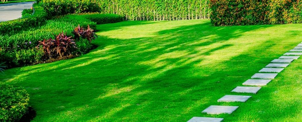 Archa.Gazon.Gullar.Daraxtlar