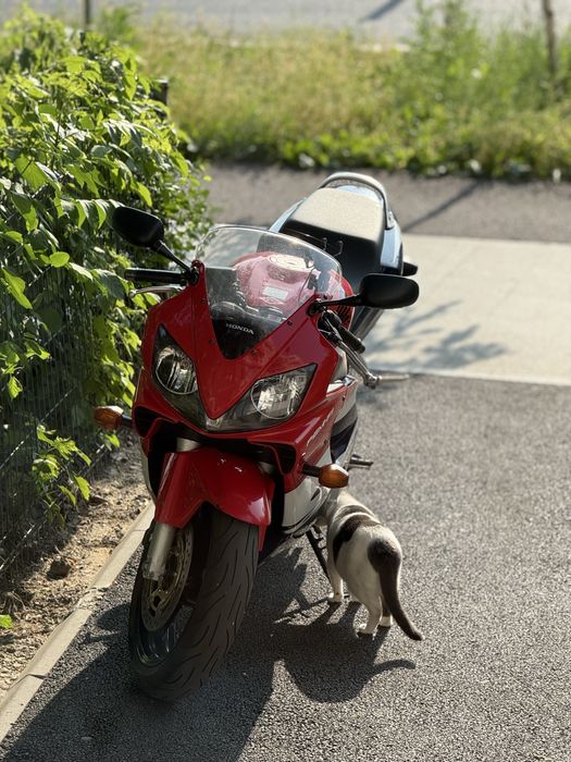 Honda CBR 600 F4i