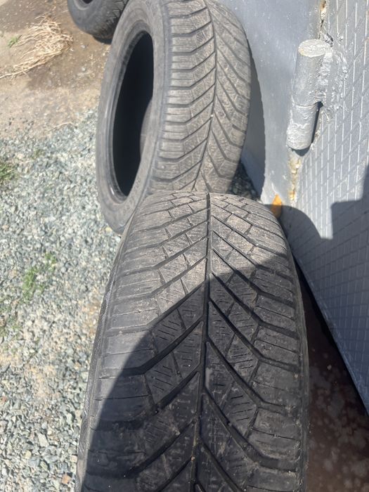 Летняя резина Continental 2 балона б/у