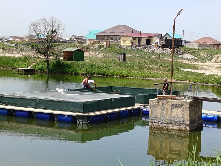 Садки для выращивания рыбы
