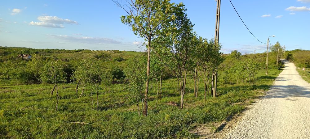 Vând teren intravilan 3570 mp Piatra Craiului cu 65€/mp