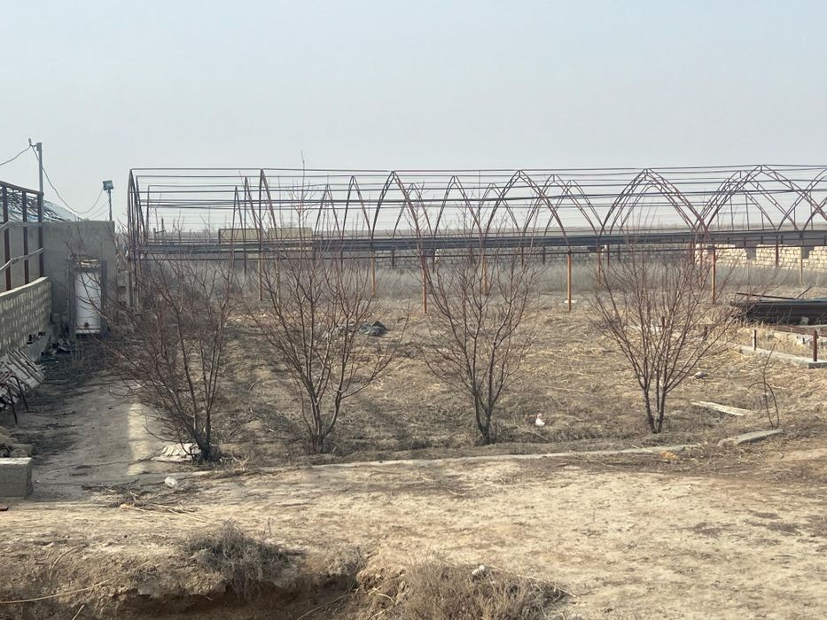 Аренда теплицы в балауса