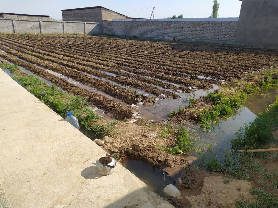 12 сотих хамма шароит бор ер участка сотилади