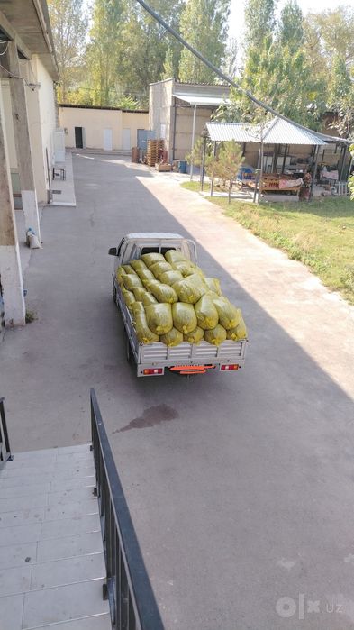 Silos sotiladi 20kg qoplangan 20000 ming sum.