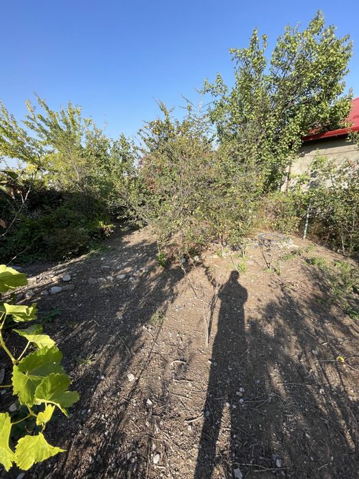 Продоётся дача 2 комнатая с подвалом и с сараем 11 соток