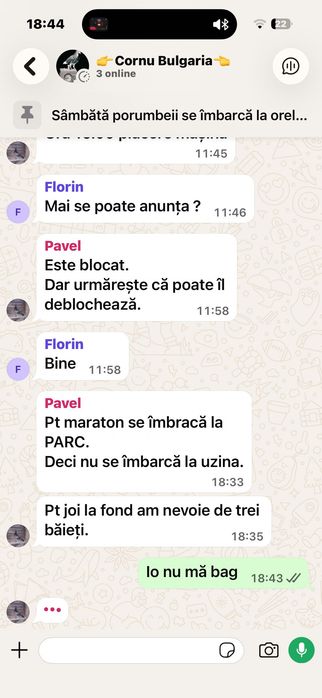 Lansete pentru crap