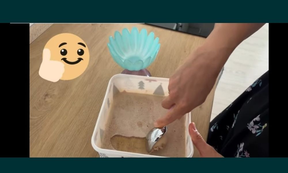 Aparat masina  inghetata  Philips hr2300 NOU 50 Ron germania